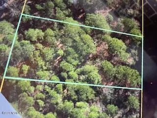 $40,000 | 249 South Horsepen Drive, Harrells, NC 28444