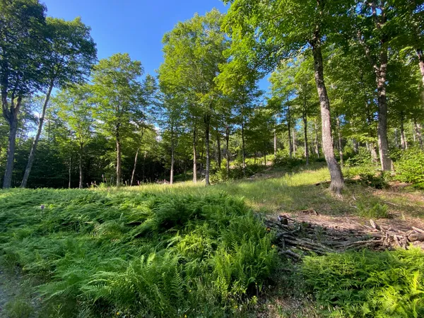 $590,000 | Lot 11-b-1 Lot 11-b-1 Blair Hill Road, Greenville, ME 04441