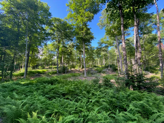 $590,000 | Lot 11-b-1 Lot 11-b-1 Blair Hill Road, Greenville, ME 04441