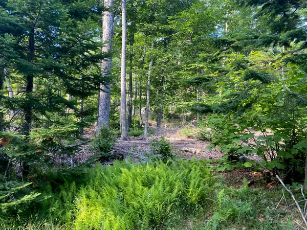 $590,000 | Lot 11-b-1 Lot 11-b-1 Blair Hill Road, Greenville, ME 04441