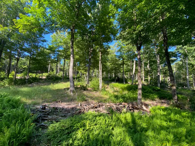 $590,000 | Lot 11-b-1 Lot 11-b-1 Blair Hill Road, Greenville, ME 04441