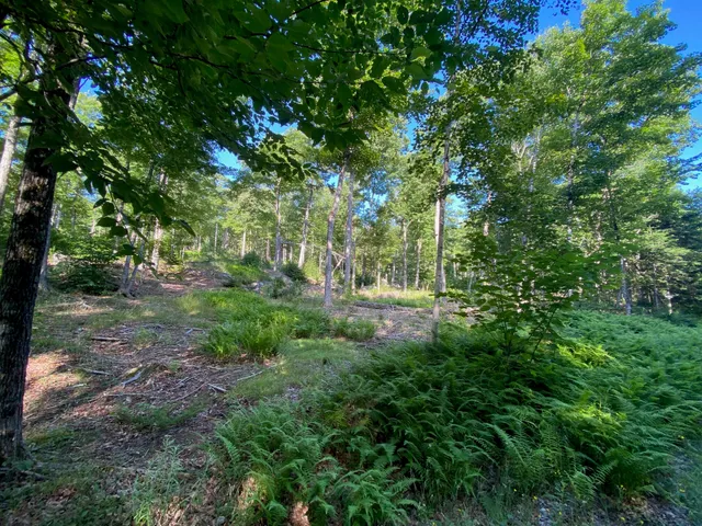 $590,000 | Lot 11-b-1 Lot 11-b-1 Blair Hill Road, Greenville, ME 04441