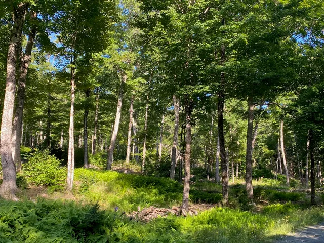 $590,000 | Lot 11-b-1 Lot 11-b-1 Blair Hill Road, Greenville, ME 04441