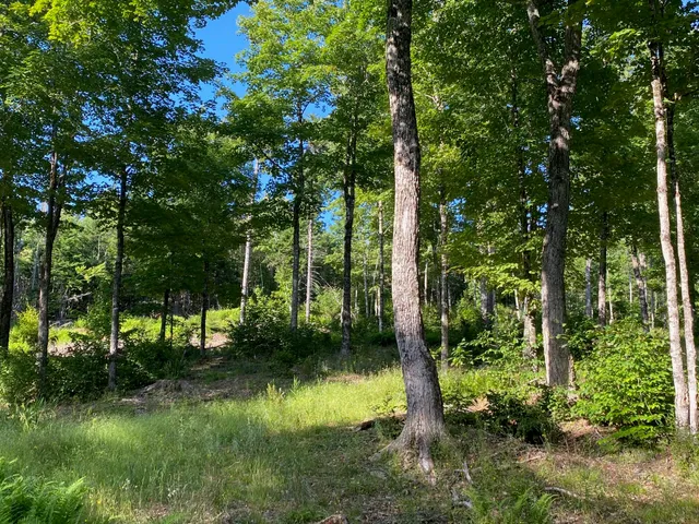 $590,000 | Lot 11-b-1 Lot 11-b-1 Blair Hill Road, Greenville, ME 04441