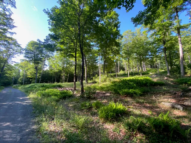 $590,000 | Lot 11-b-1 Lot 11-b-1 Blair Hill Road, Greenville, ME 04441
