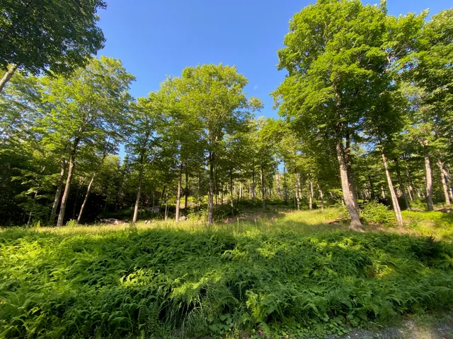 $590,000 | Lot 11-b-1 Lot 11-b-1 Blair Hill Road, Greenville, ME 04441