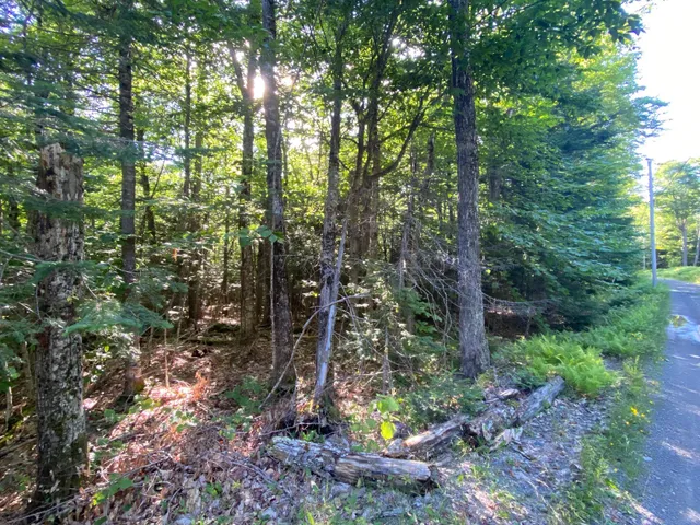 $590,000 | Lot 11-b-1 Lot 11-b-1 Blair Hill Road, Greenville, ME 04441