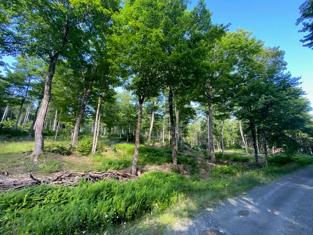$590,000 | Lot 11-b-1 Lot 11-b-1 Blair Hill Road, Greenville, ME 04441