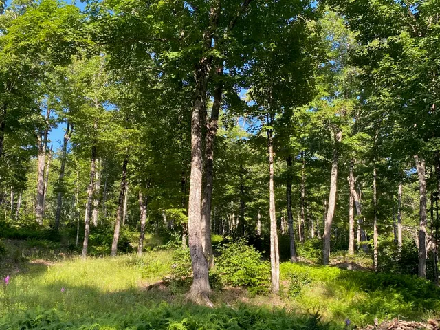 $590,000 | Lot 11-b-1 Lot 11-b-1 Blair Hill Road, Greenville, ME 04441