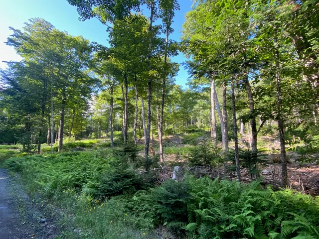 $590,000 | Lot 11-b-1 Lot 11-b-1 Blair Hill Road, Greenville, ME 04441