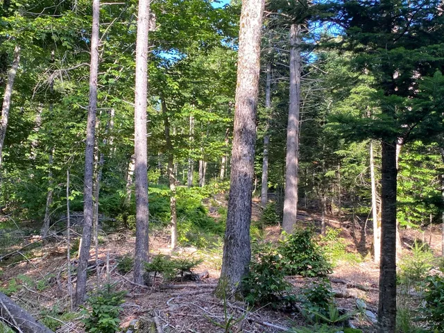 $590,000 | Lot 11-b-1 Lot 11-b-1 Blair Hill Road, Greenville, ME 04441