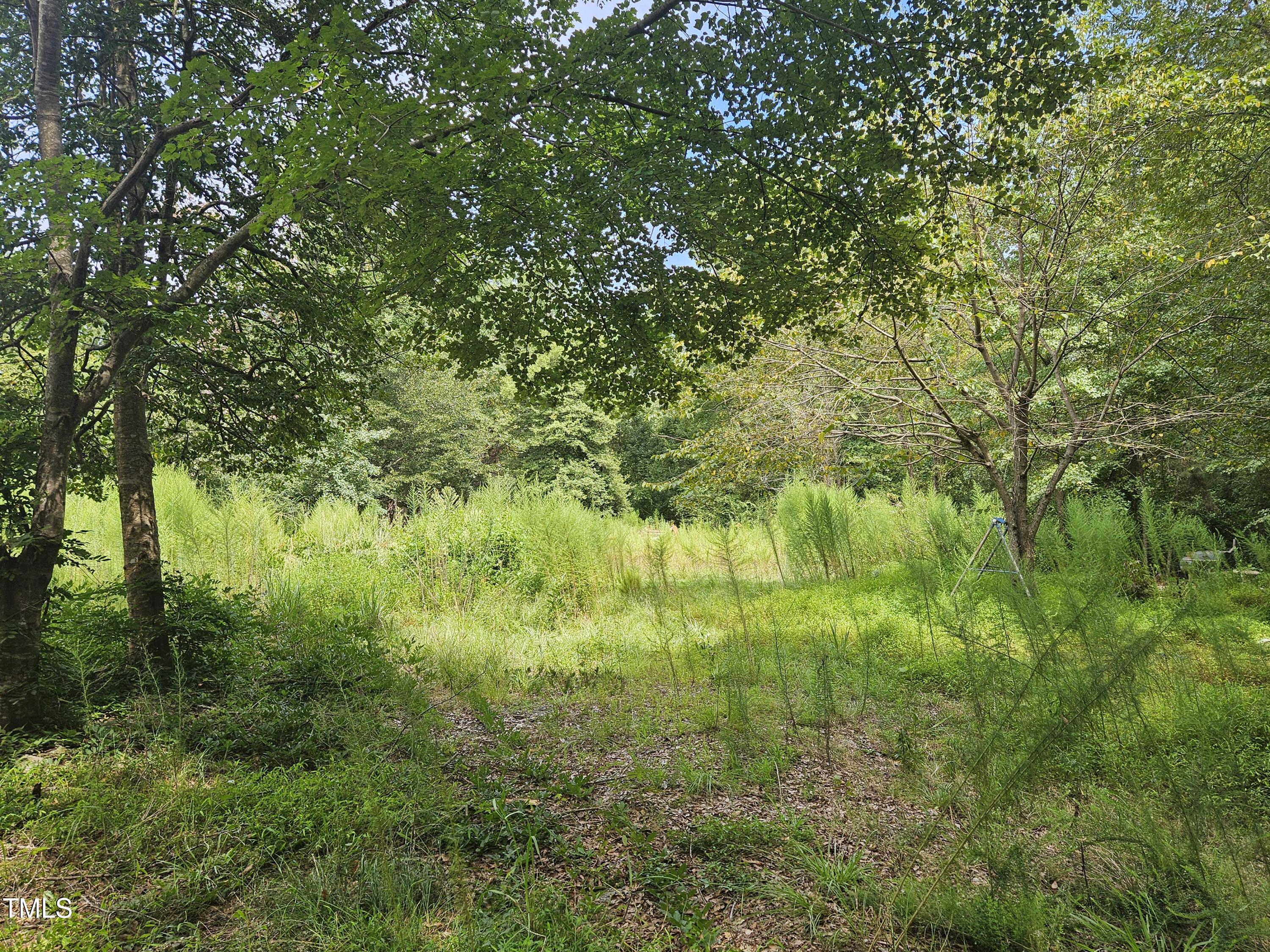 1049 Graham Pond Road Angier, NC 27501 - Photo 11 of 18