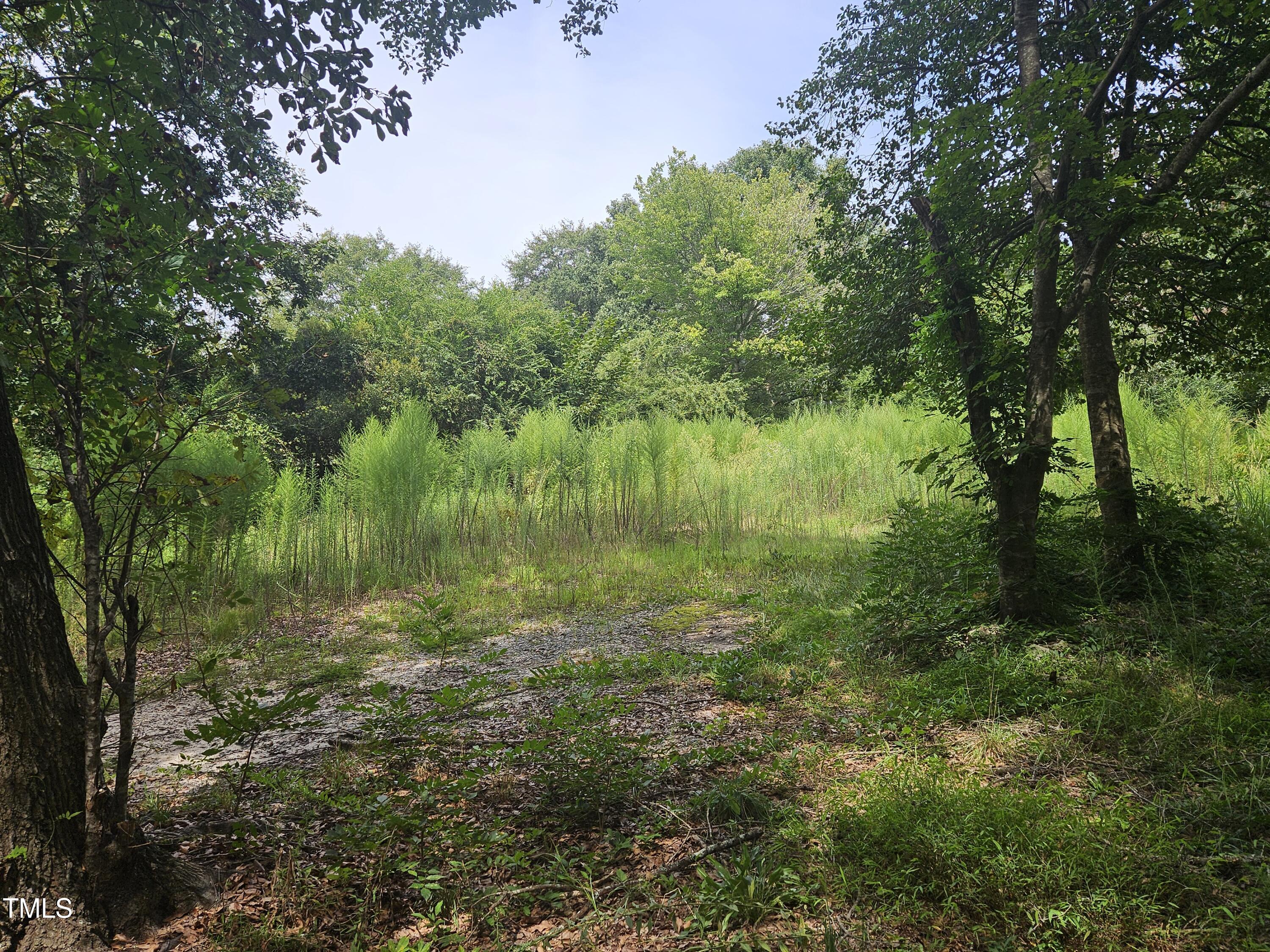 1049 Graham Pond Road Angier, NC 27501 - Photo 12 of 18
