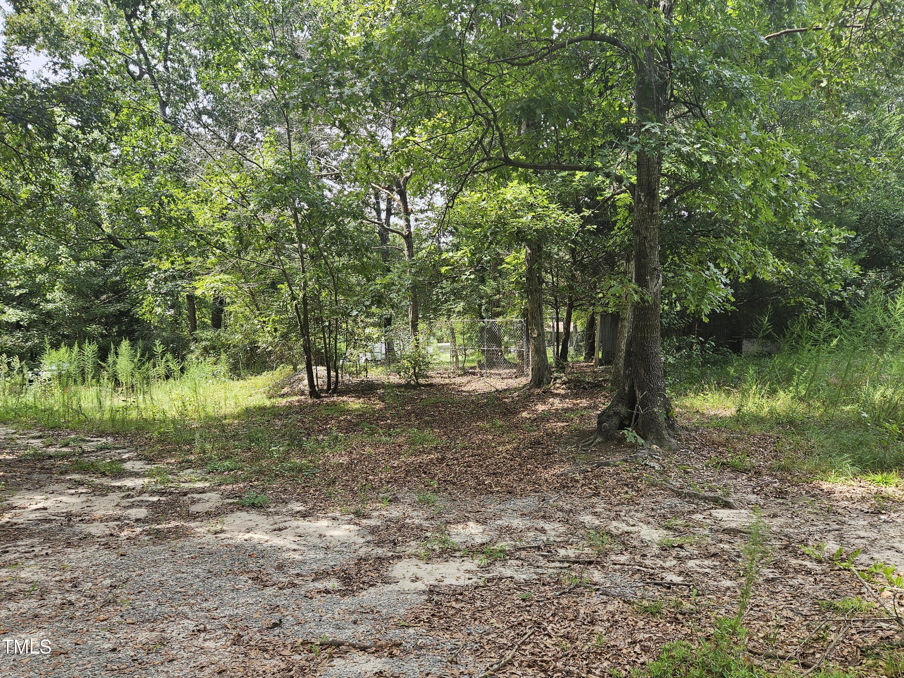1049 Graham Pond Road Angier, NC 27501 - Photo 13 of 18 a view of a forest with trees in the background
