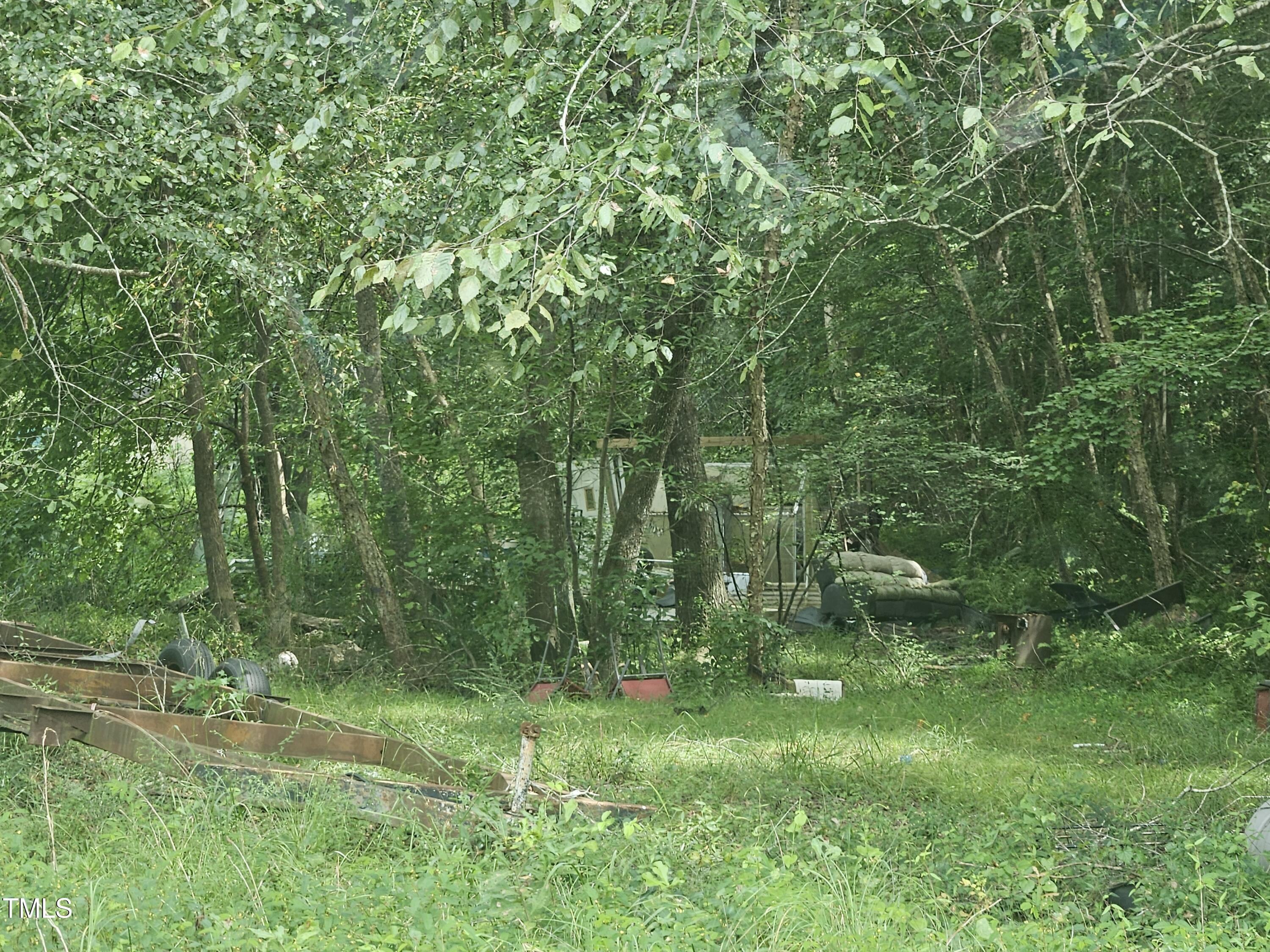1049 Graham Pond Road Angier, NC 27501 - Photo 17 of 18 a view of lush green forest