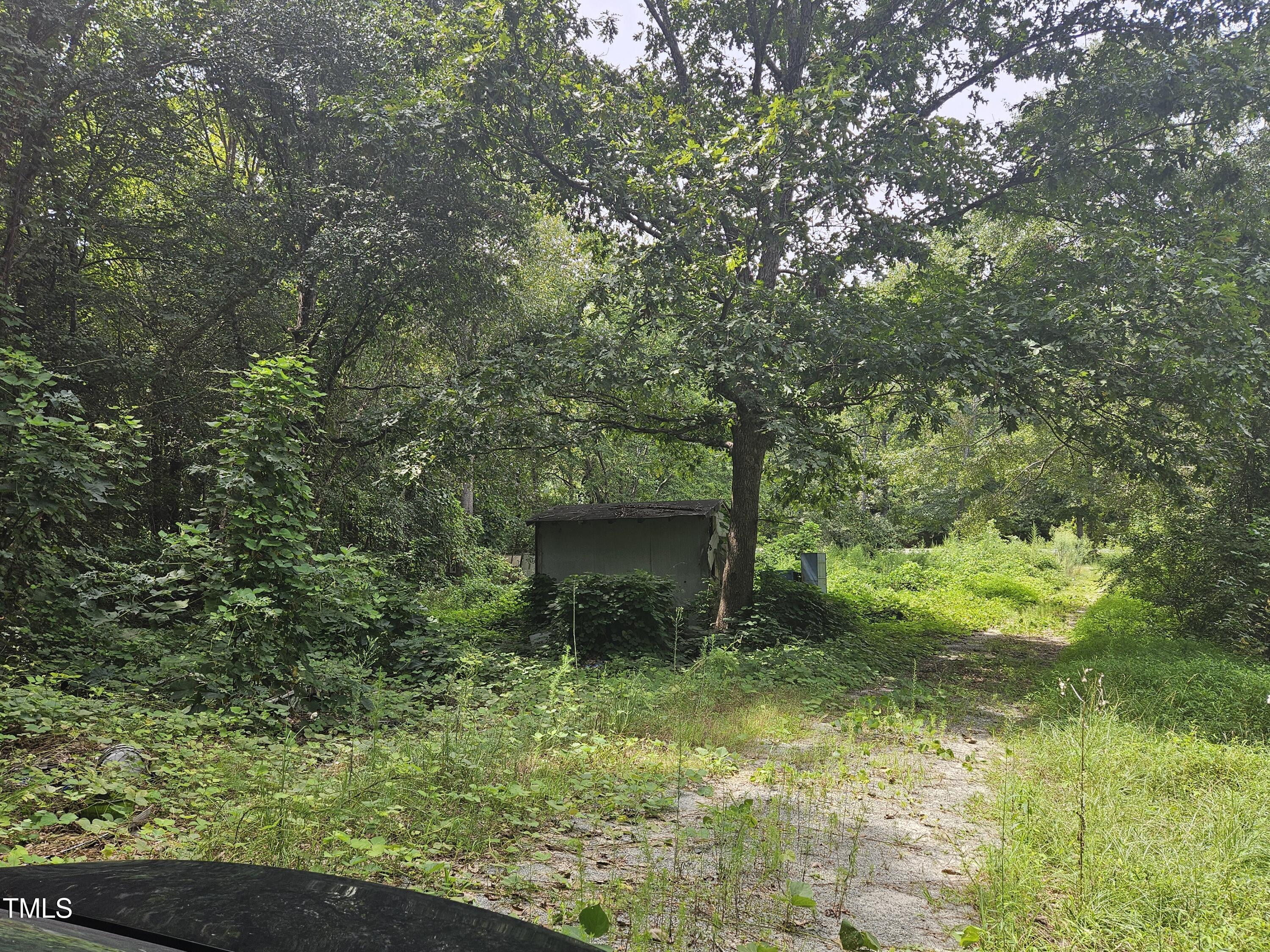 1049 Graham Pond Road Angier, NC 27501 - Photo 5 of 18 a picture of trees