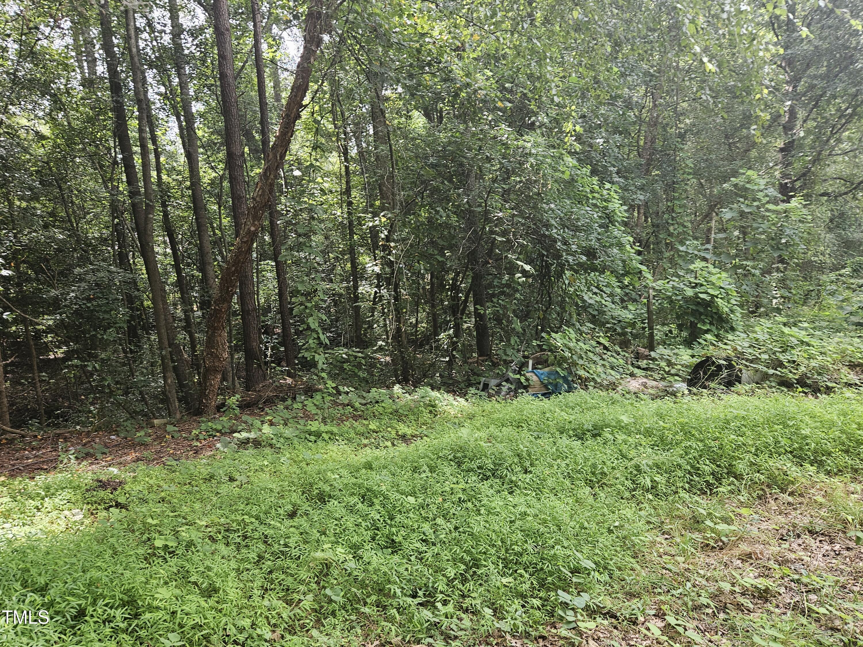 1049 Graham Pond Road Angier, NC 27501 - Photo 6 of 18 a view of outdoor space and green space