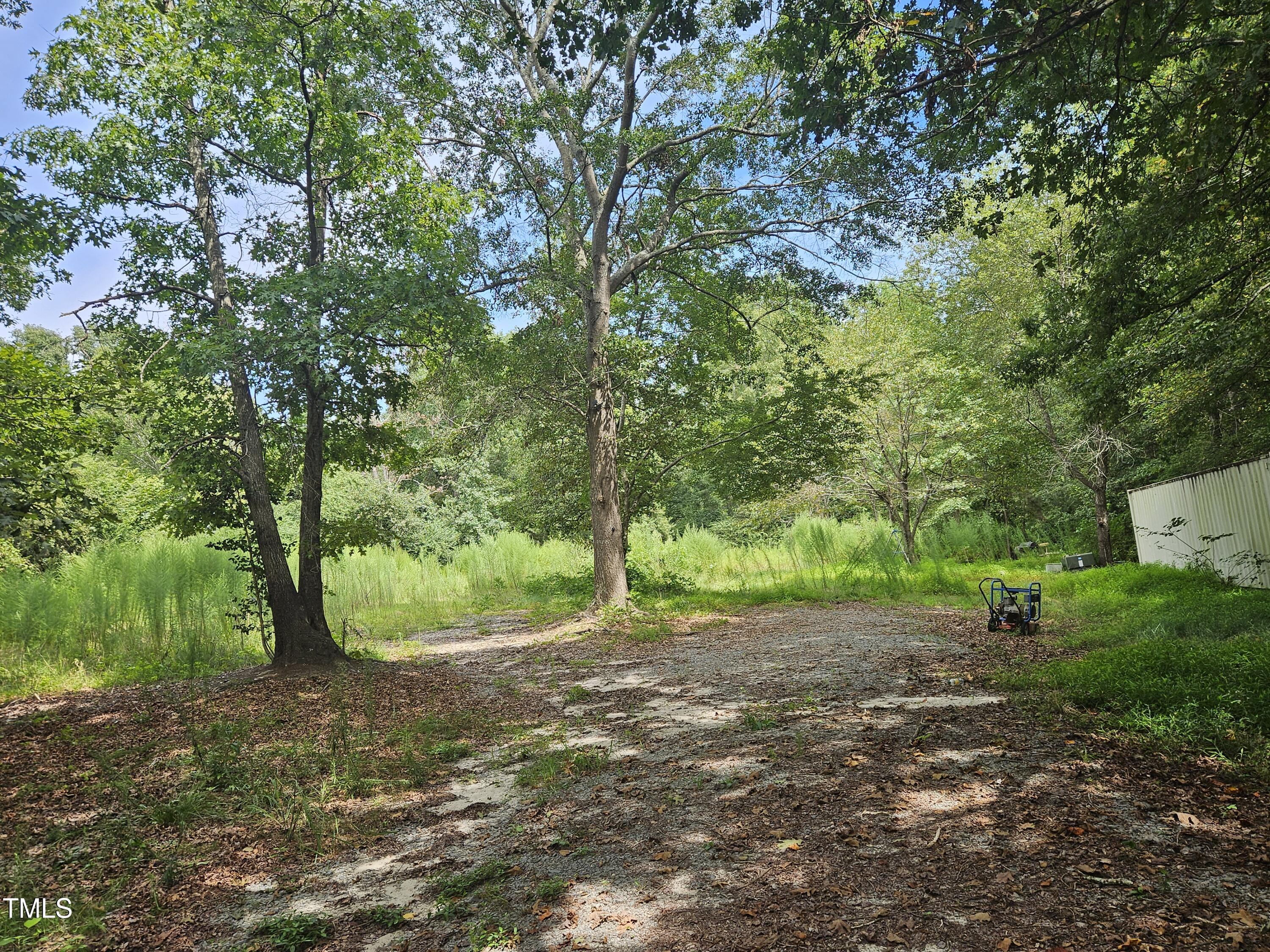 1049 Graham Pond Road Angier, NC 27501 - Photo 8 of 18 a view of a forest with trees