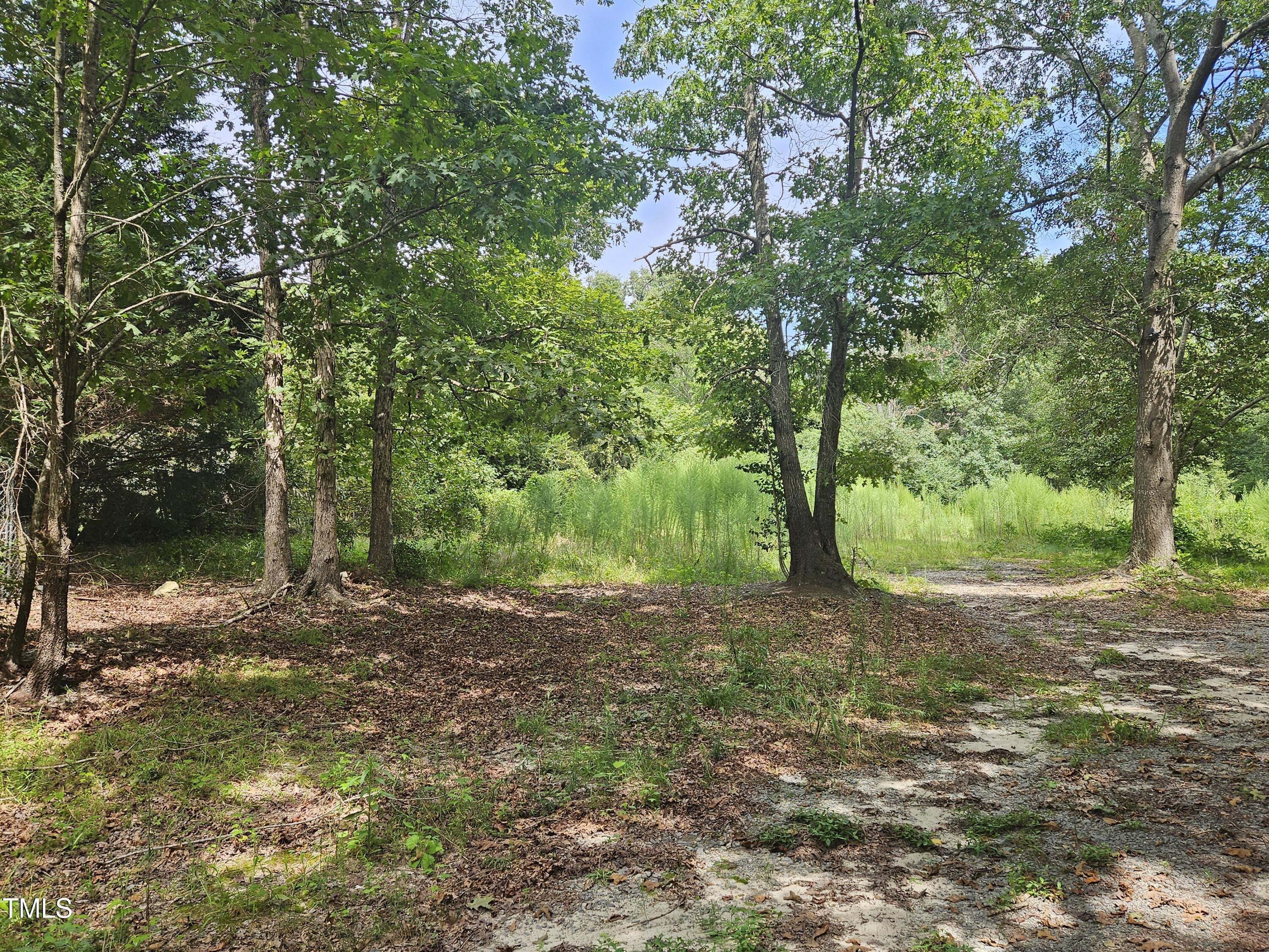 1049 Graham Pond Road Angier, NC 27501 - Photo 9 of 18 a backyard of a house with lots of green space