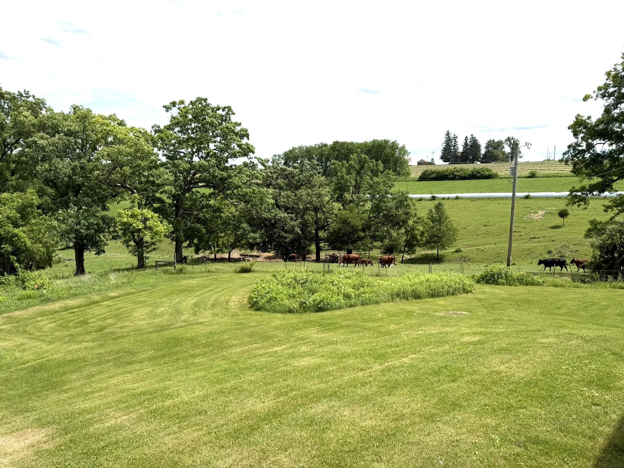 785 County Road Hollandale, WI 53544 - Photo 9 of 26
