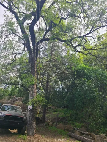 a car parked in front of a house
