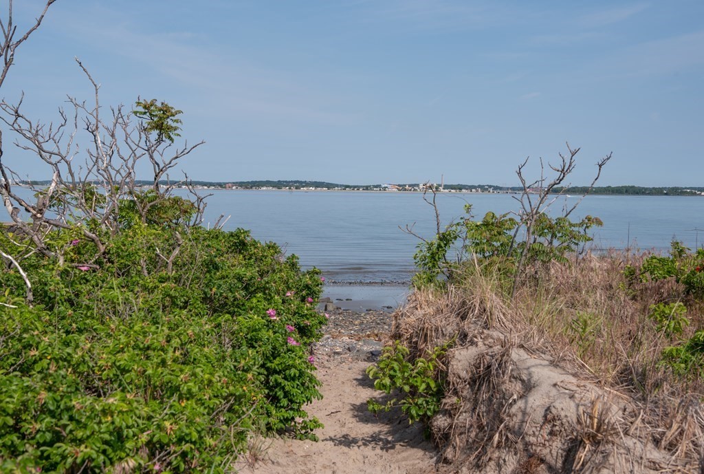 11 Maolis Road Nahant, MA 01908 - Photo 26 of 29 Gallery Image 26