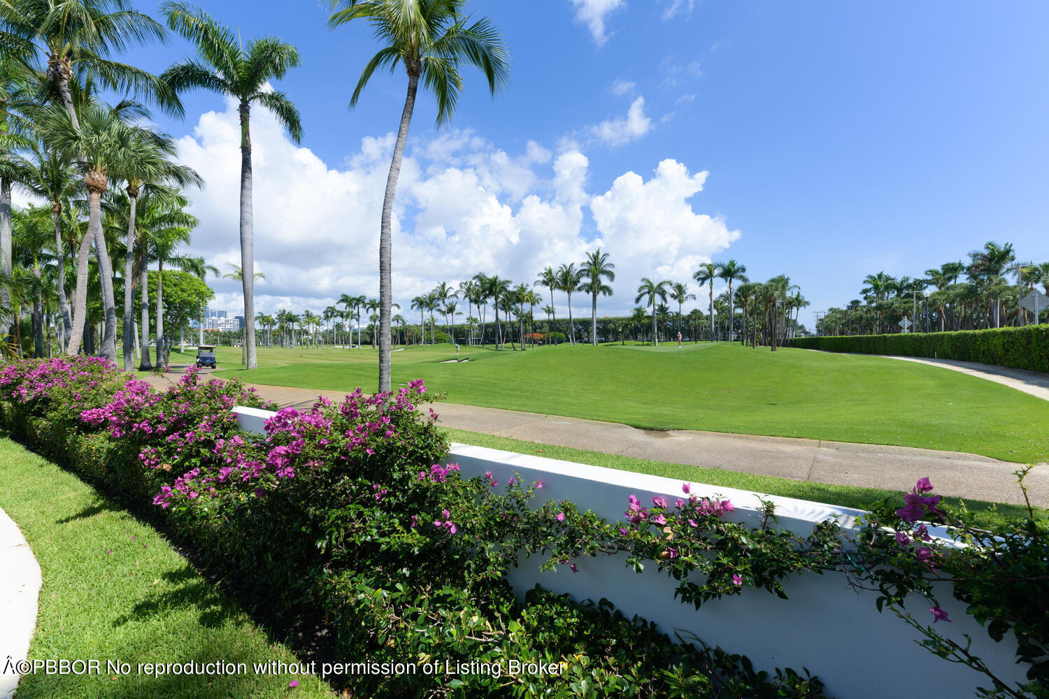 201 Pendleton Avenue Palm Beach, FL 33480 - Photo 20 of 22 a view of a golf course with a garden