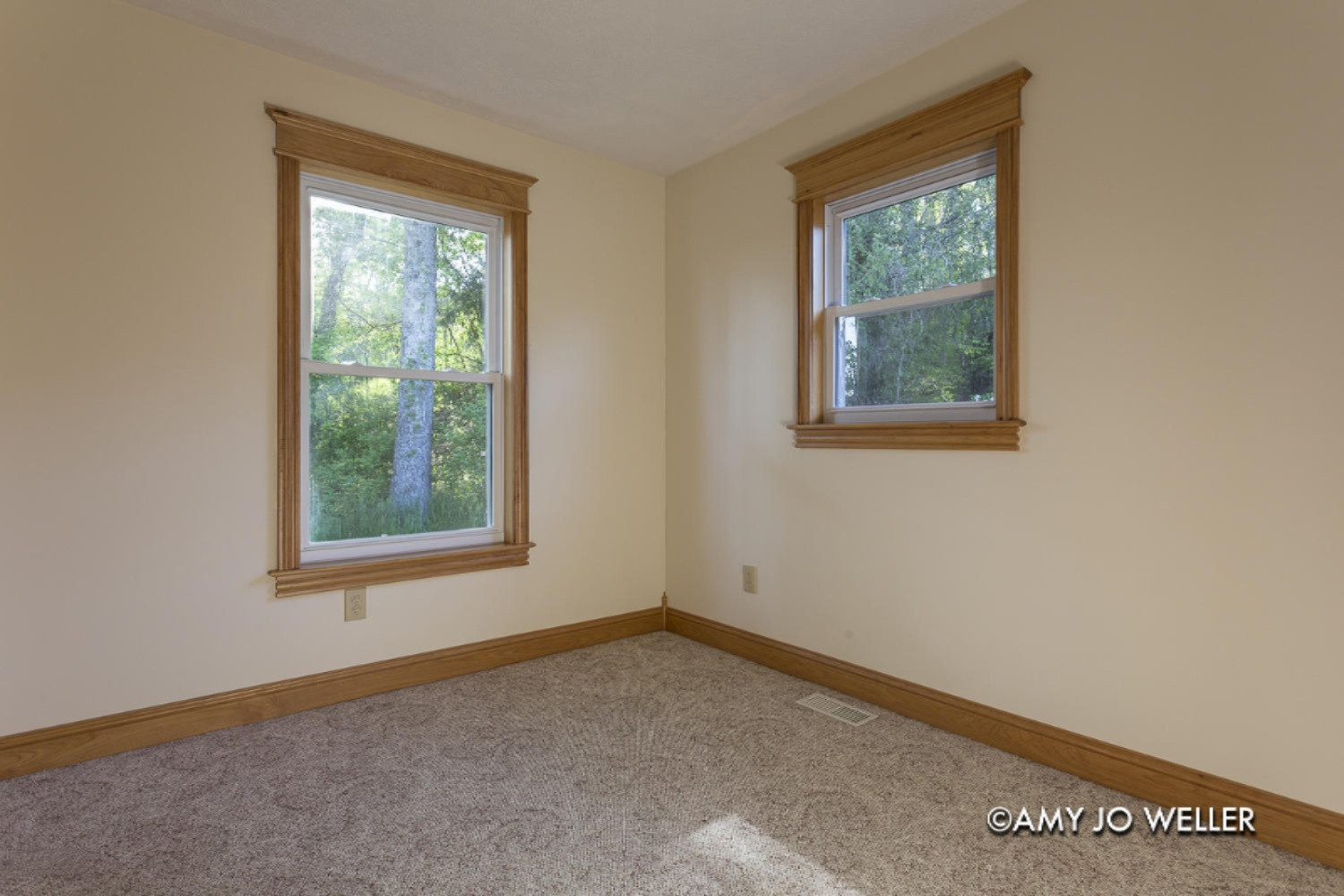 12999 Walter Road Trufant, MI 49347 - Photo 14 of 40 Walter_15