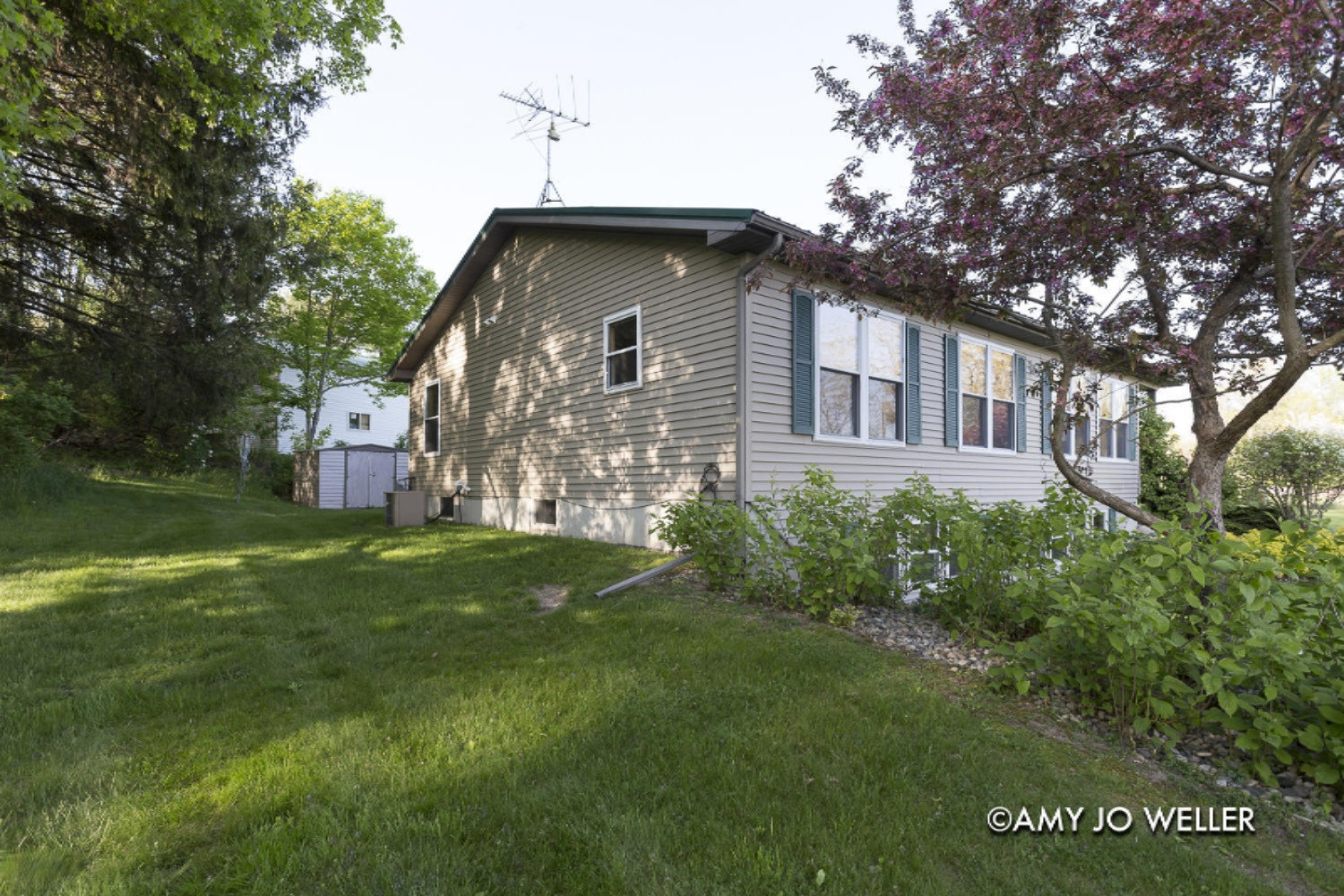 12999 Walter Road Trufant, MI 49347 - Photo 33 of 40 Walter_29