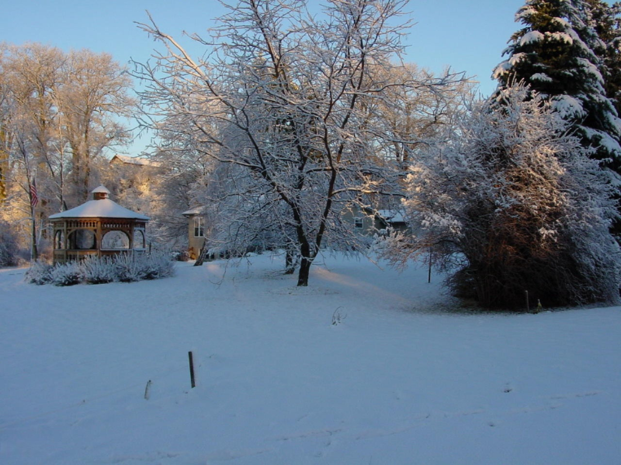 12999 Walter Road Trufant, MI 49347 - Photo 40 of 40 DSC00050