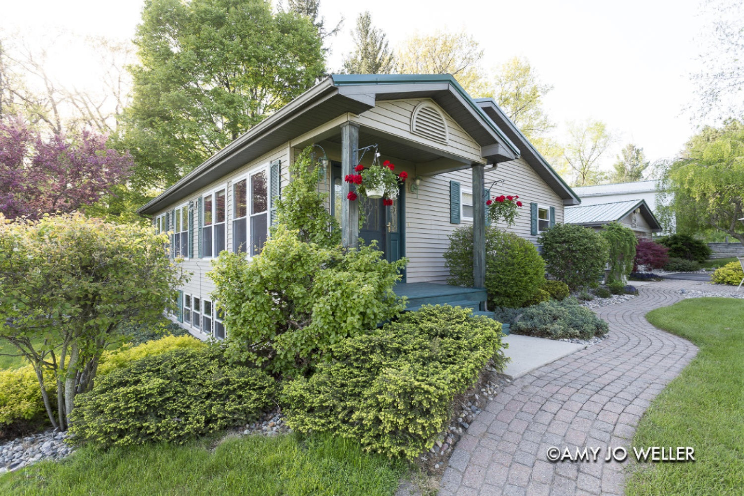 12999 Walter Road Trufant, MI 49347 - Photo 4 of 40 Walter_5