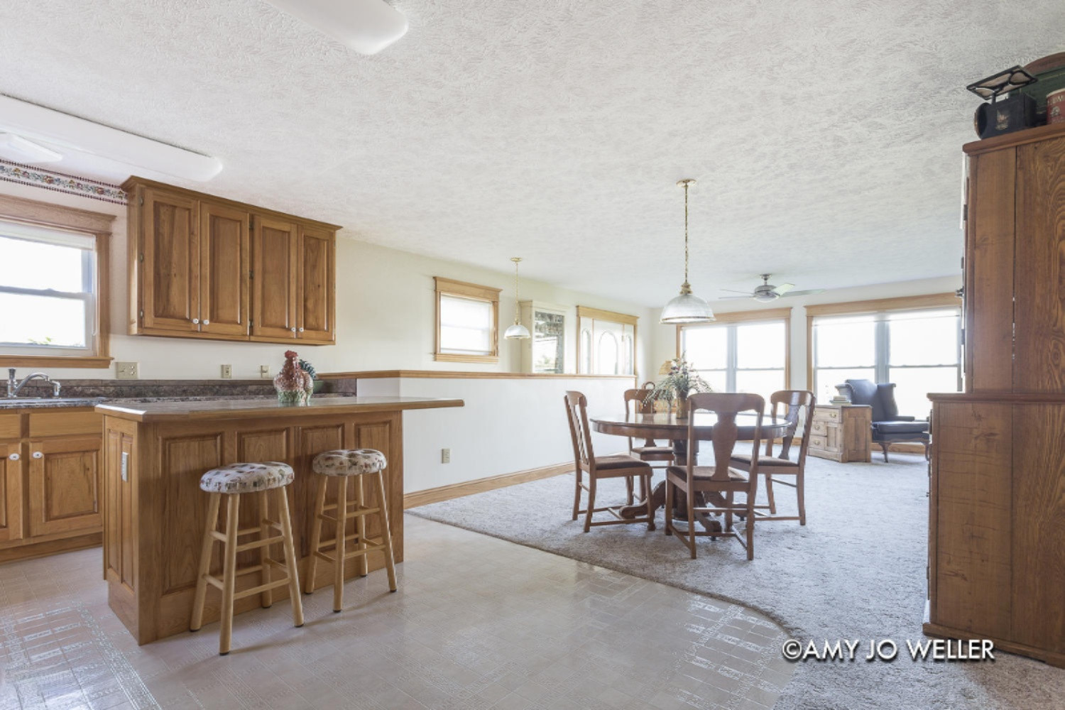 12999 Walter Road Trufant, MI 49347 - Photo 8 of 40 Walter_9