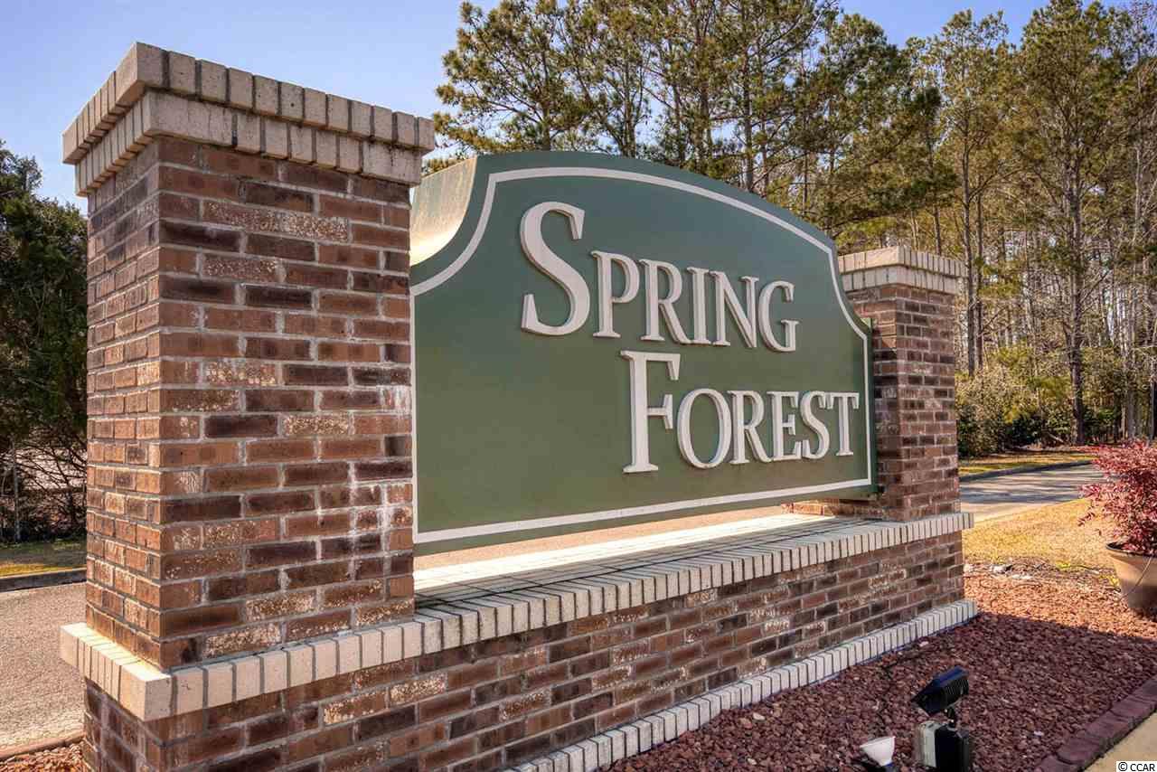 9424 Old Palmetto Road Murrells Inlet, SC 29576 - Photo 37 of 40 Gallery Image 37