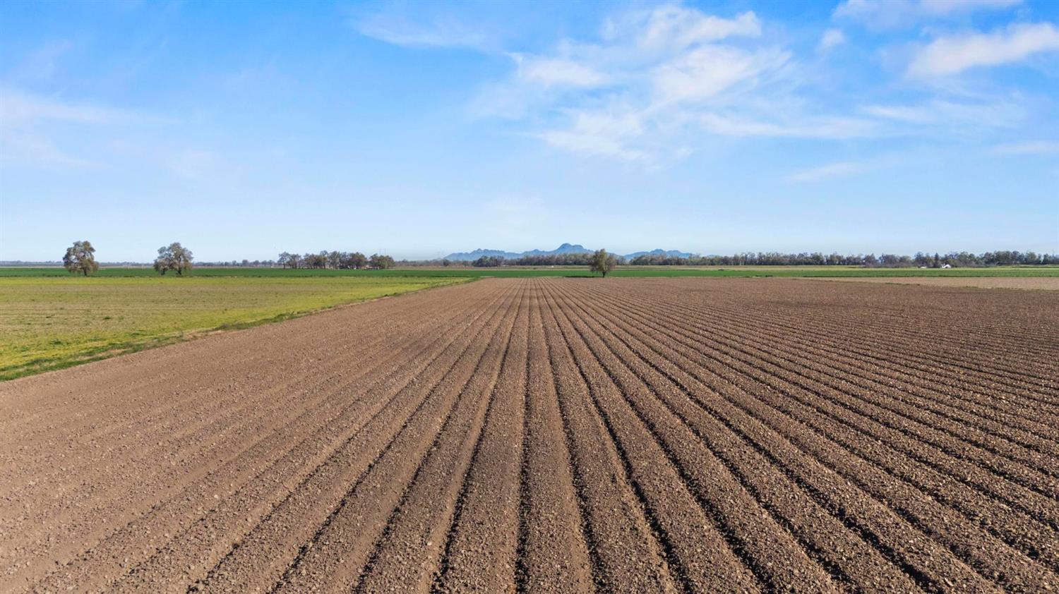 0 Fruchtenicht Road Knights Landing, CA 95645 - Photo 6 of 8