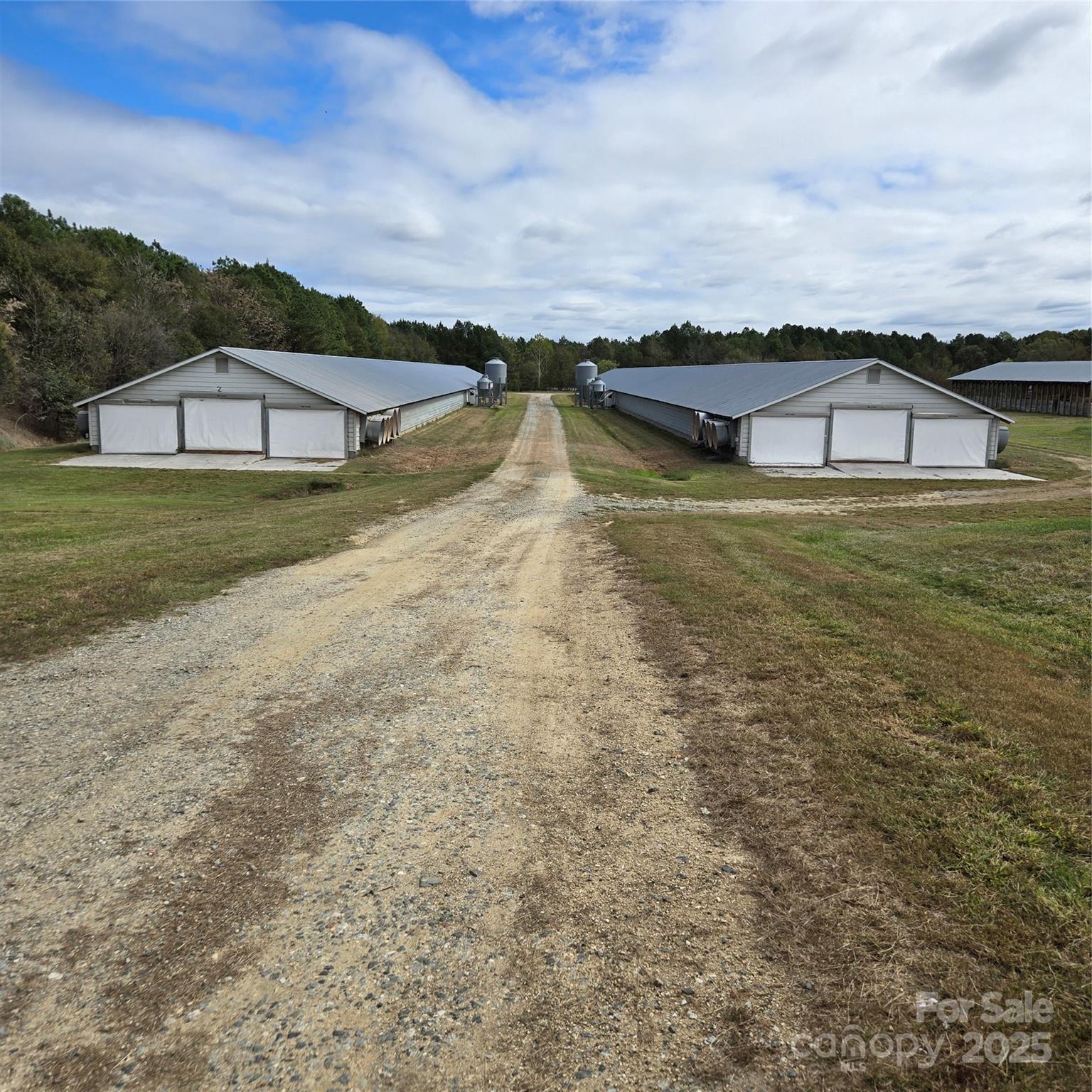 2955 Wrenn Road Prospect Hill, NC 27314 - Photo 1 of 18 a view of a lake with a houses in the background