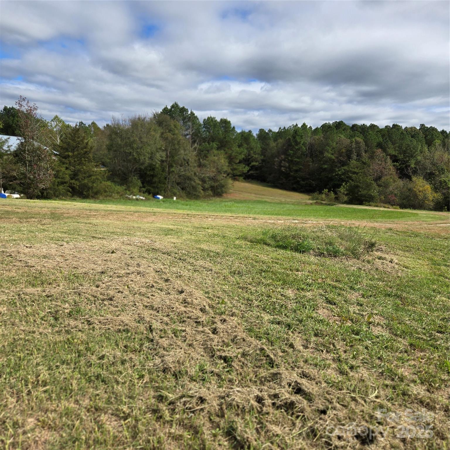 2955 Wrenn Road Prospect Hill, NC 27314 - Photo 18 of 18 a view of an ocean from a yard