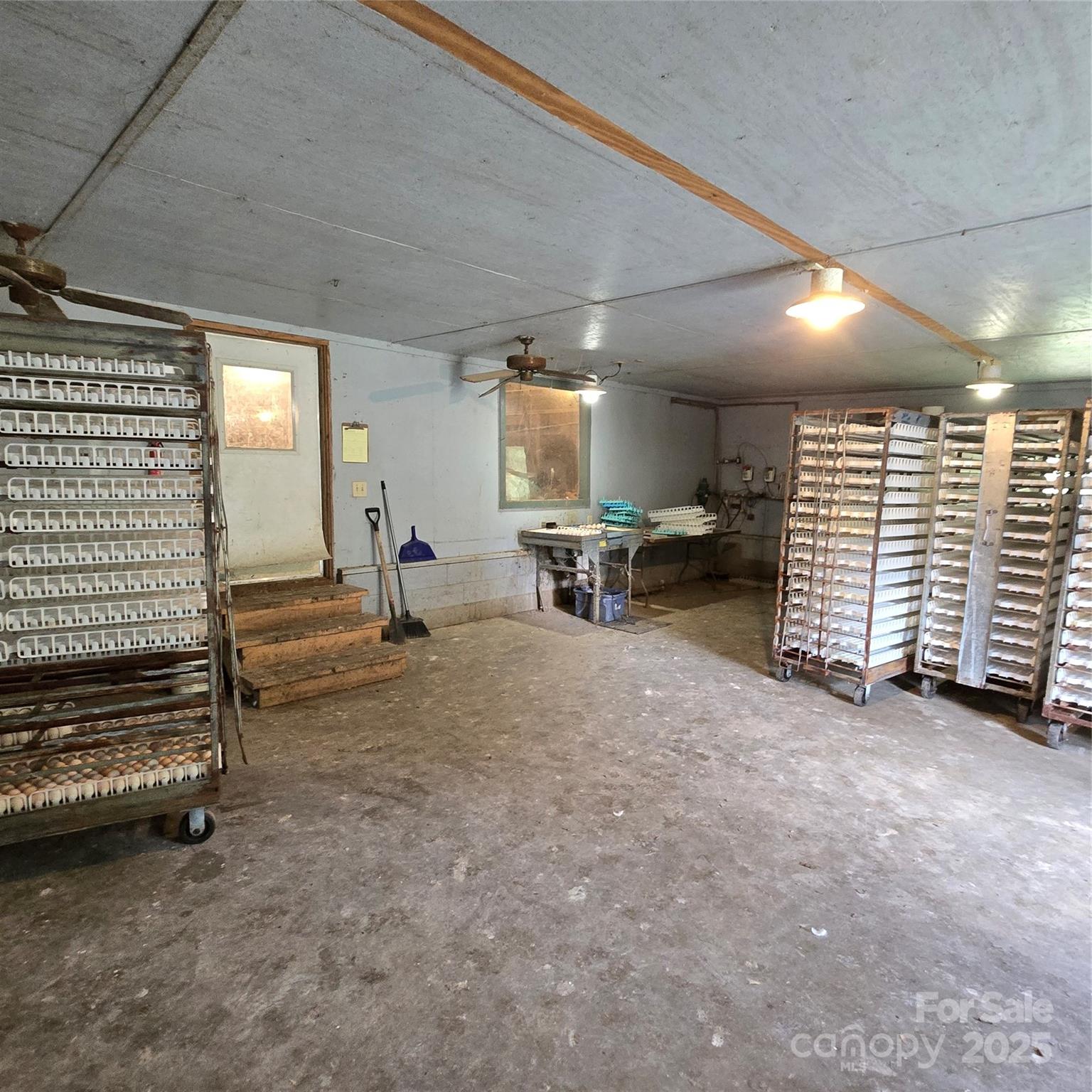 2955 Wrenn Road Prospect Hill, NC 27314 - Photo 8 of 18 a view of a livingroom with furniture and a ceiling fan