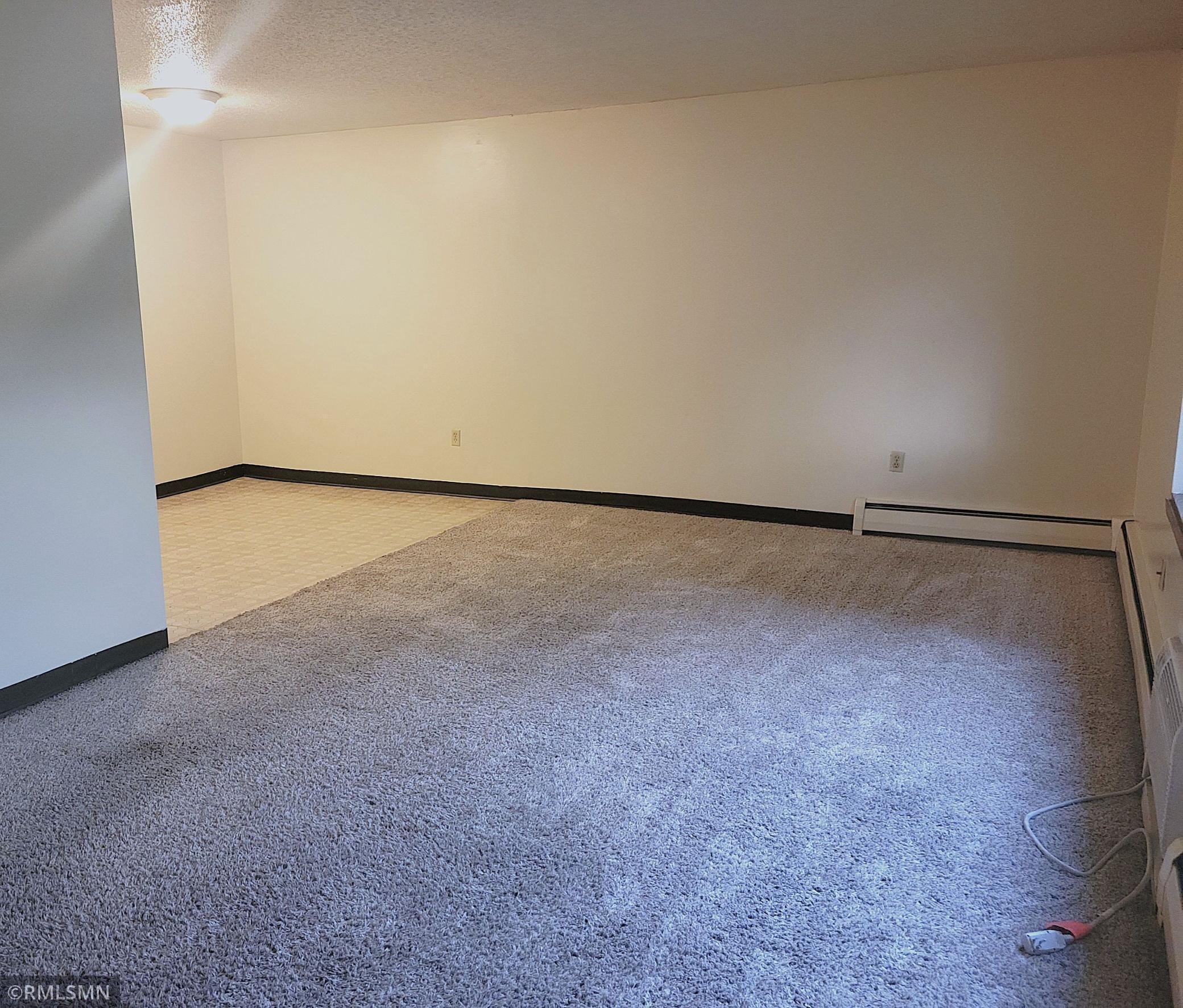 122 Spring Street, Unit 202 River Falls, WI 54022 - Photo 5 of 18