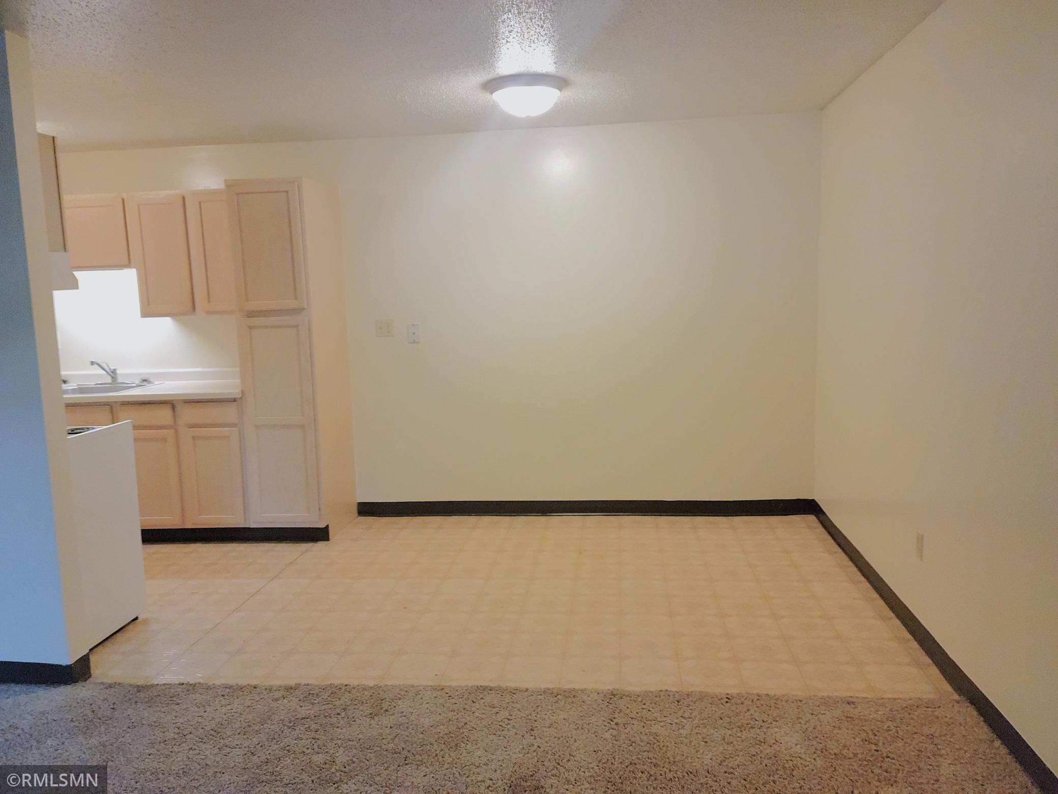 122 Spring Street, Unit 202 River Falls, WI 54022 - Photo 6 of 18