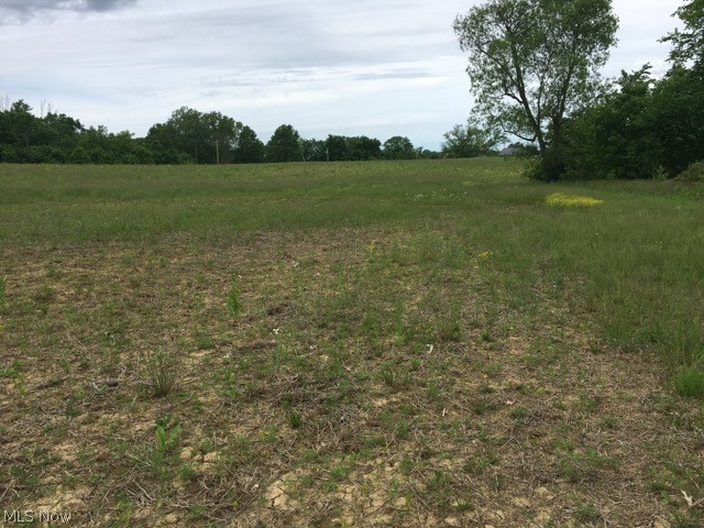 V/l Firestone Road Homerville, OH 44235 - Photo 3 of 5 Gallery Image 3