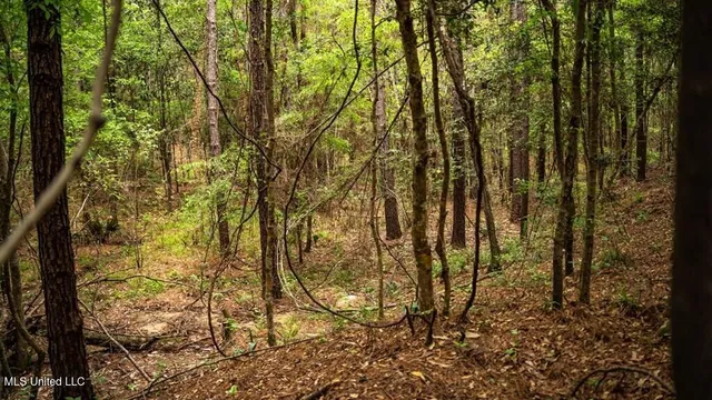 $157,250 | 2683 33rd Highway, Crosby, MS 39633