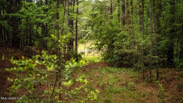 $157,250 | 2683 33rd Highway, Crosby, MS 39633