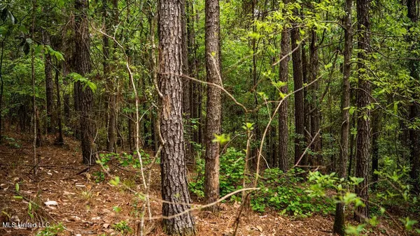 $157,250 | 2683 33rd Highway, Crosby, MS 39633