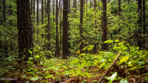 $157,250 | 2683 33rd Highway, Crosby, MS 39633