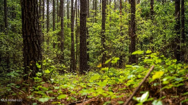 $157,250 | 2683 33rd Highway, Crosby, MS 39633