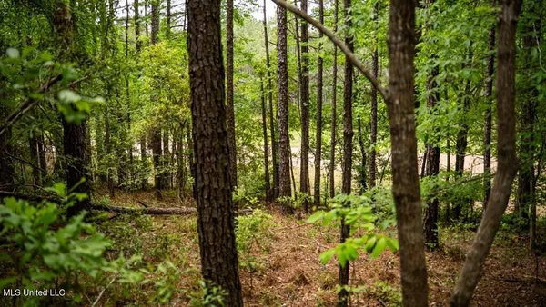 $157,250 | 2683 33rd Highway, Crosby, MS 39633