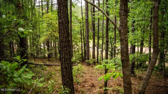 $157,250 | 2683 33rd Highway, Crosby, MS 39633