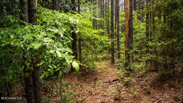 $157,250 | 2683 33rd Highway, Crosby, MS 39633