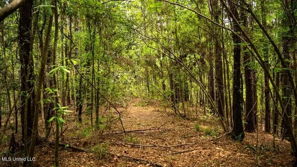 $157,250 | 2683 33rd Highway, Crosby, MS 39633