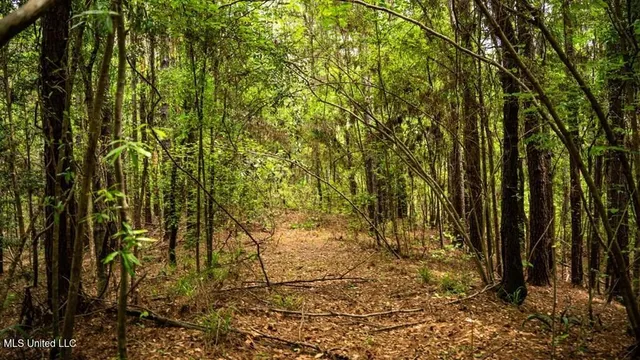 $157,250 | 2683 33rd Highway, Crosby, MS 39633